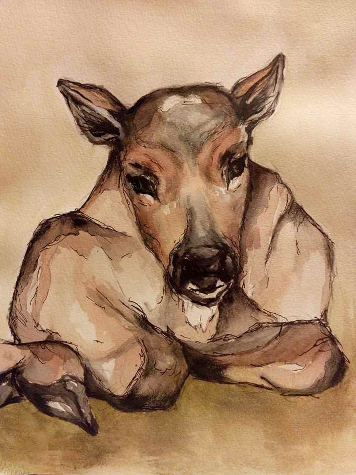 Vasa @artbypia_karin