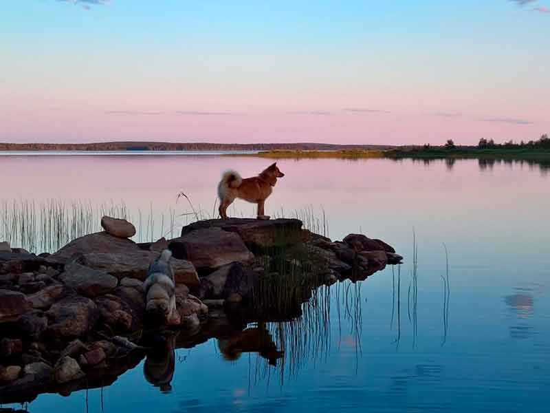 Villa-Unari-kesä Villa-Unari-kesä