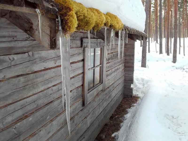 Villa-Unari-kevät Villa-Unari-kevät