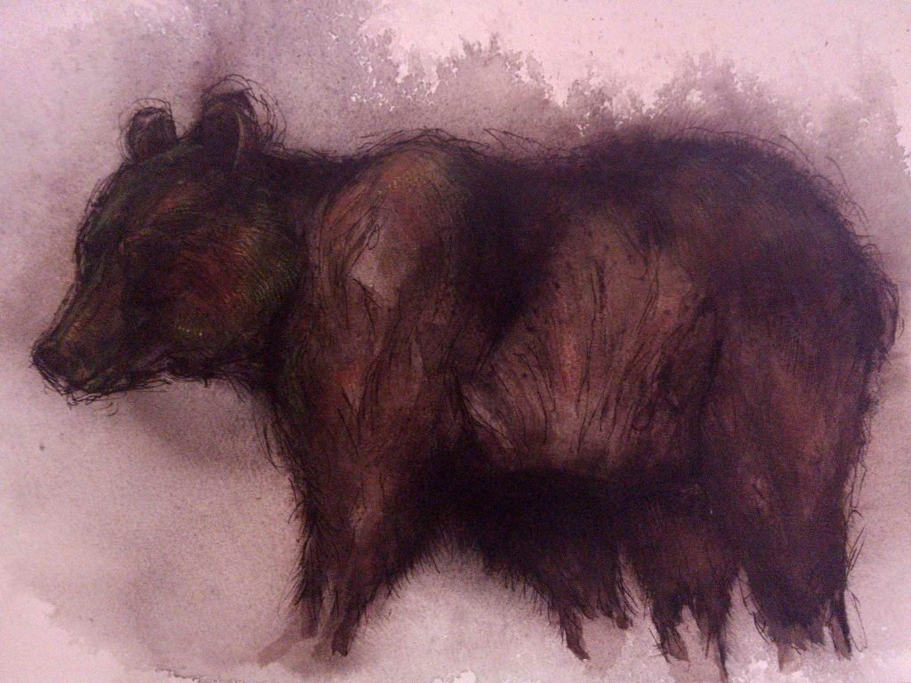 karhu @artbypia_karin