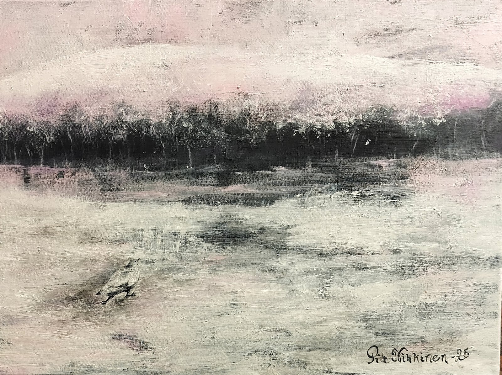 Riekko - Willow grouse